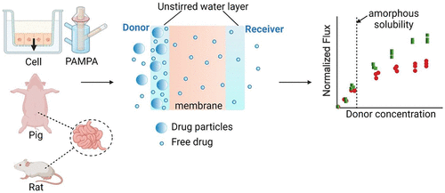 different membranes