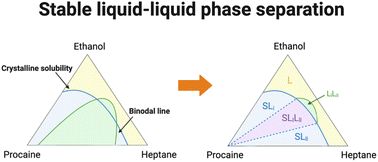 stable LLPS