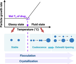 growth mechanism