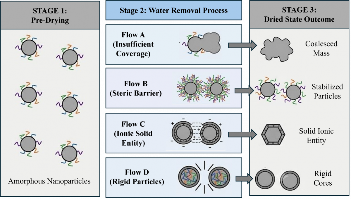amorphous nanoparticle drying stabilization mechanisms